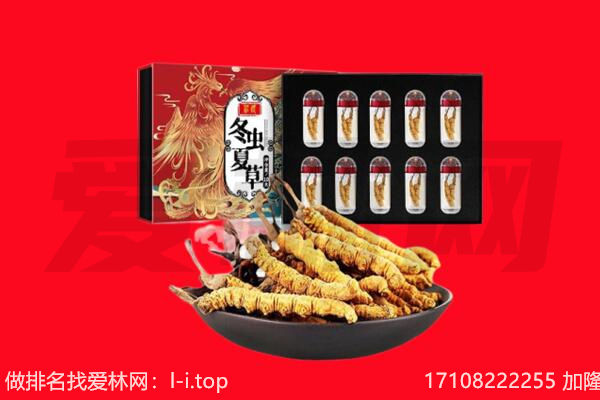 白银回收虫草.jpg